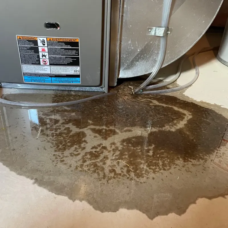 Appliance Leak Cleanup in Hyde County, NC